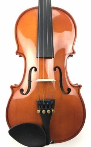 Stentor Student Violin Outfit - Image 3