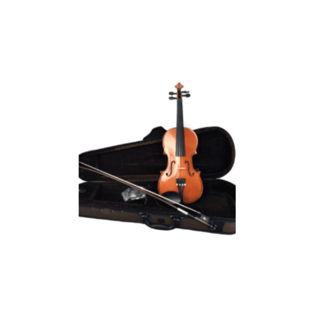 Stentor Student Violin Outfit